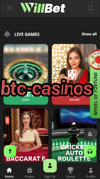 BTC-Casinos - Best Bitcoin Casino List-7spincasino.ydblkf.net